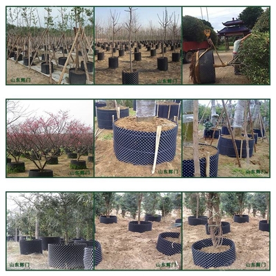 江西大型農(nóng)場(chǎng)栽花種植控根器與樹木控根容器的應(yīng)用